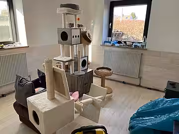 So gut wie geschafft ...