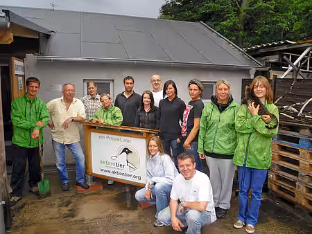 Mitarbeiter des aktion tier Aufklärungsteam helfen auf der Kitty-Katzenbabystation. 