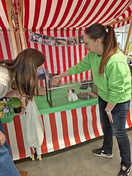 aktion tier beim Cats Day 2025 im Forum Steglitz in Berlin Eine Mitarbeiterin zeigt die Funktionsweise einer Lebendfalle für Katzen