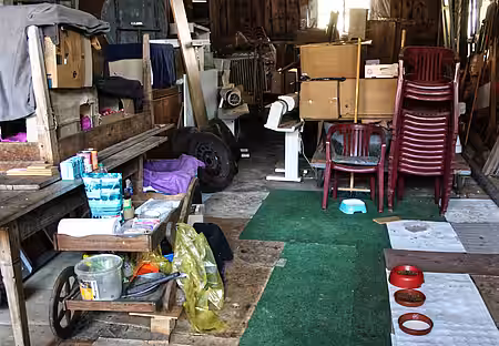 Über 10 verwilderte Katzen haben hier eine Futterstelle und Schlafhäuschen Über 10 verwilderte Katzen haben hier eine Futterstelle und Schlafhäuschen