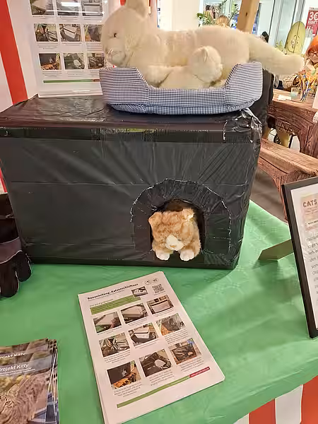 Ein selbstgebautes Katzenschlafhaus auf einem Tisch