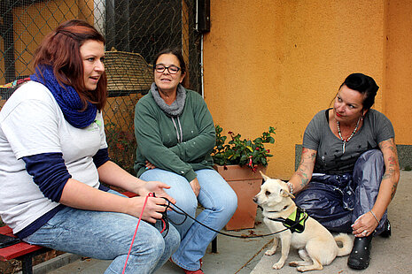 Tierpflegerin Myriam Laser erzählt die Geschichte von Tierheimhund Happy. Myriam Laser erzählt die Geschichte von Tierheimhund Happy.