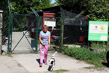 Tierheimhund Anton freut sich auf die Gassirunde mit Bärbel Tierheimhund Anton freut sich auf die Gassirunde mit Bärbel.