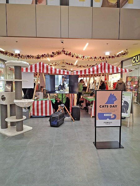 aktion tier beim Cats Day 2025 im Forum Steglitz in Berlin Ein Blick auf die Infostände und ein Schild des Cats Day