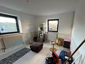 Das neue Katzenhaus erstrahlt in neuem Glanz.