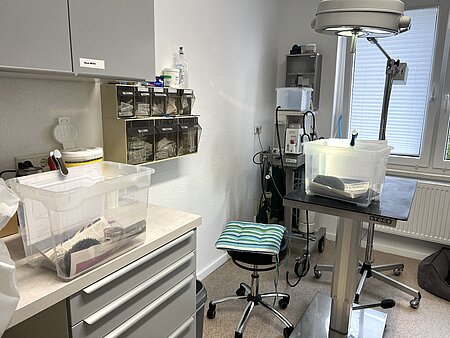 Der Tierarztraum des aktion tier Igelzentrums. Der Tierarztraum des aktion tier Igelzentrums.